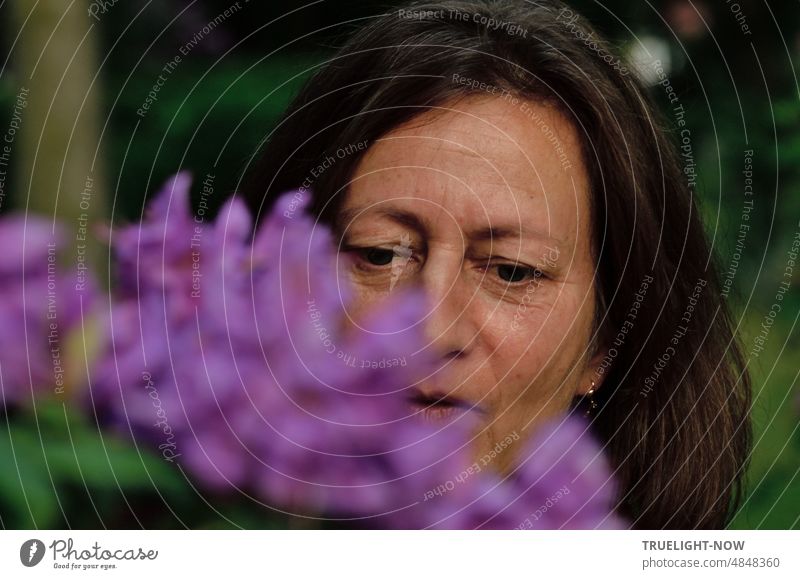 Face of a lady with long dark hair and pearl on her ear absorbed in contemplation of a branch densely covered with purple flowers - or does her gaze go inward?