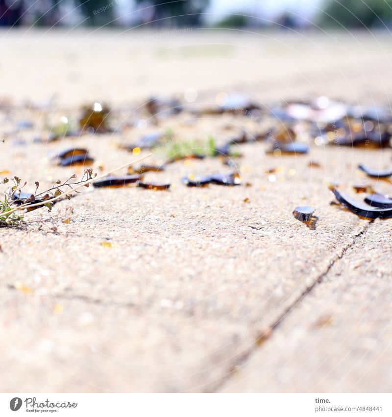Crime Scene | Remains of the Night Broken glass Concrete off Glass shards celebrations Trash untidy blurriness sunny