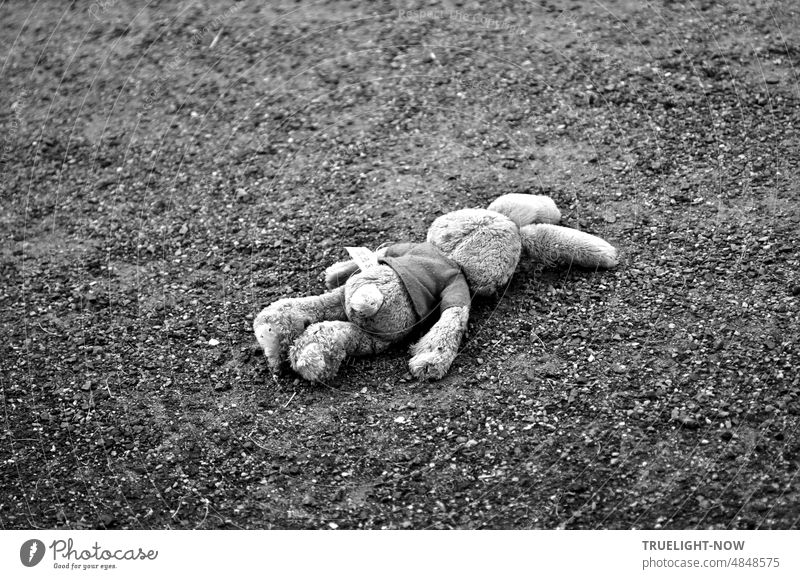 Heat victim or children anger? Teddy cuddly bunny lies flat face down lonely like lost forgotten or abandoned on the way teddy Cuddly bear off on one's own
