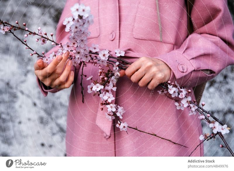 Woman in pink coat with blossom cheery flower twig woman stem bloom cherry lush bud tree garden female nature vegetate petal delicate plant gentle branch fresh