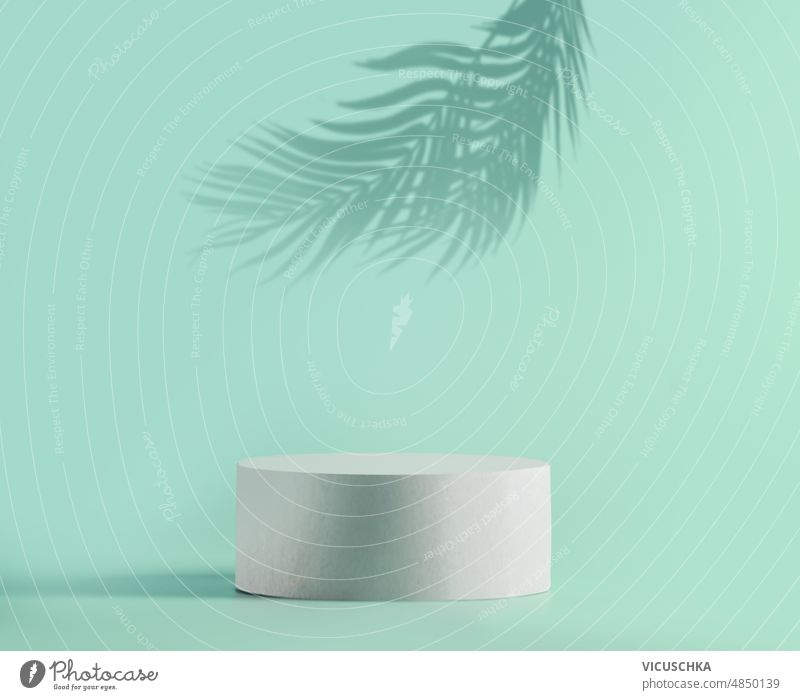 Modern cylinder podium with space for merchandise placement with palm leaves shadow at mint green background. modern empty showcase display new product