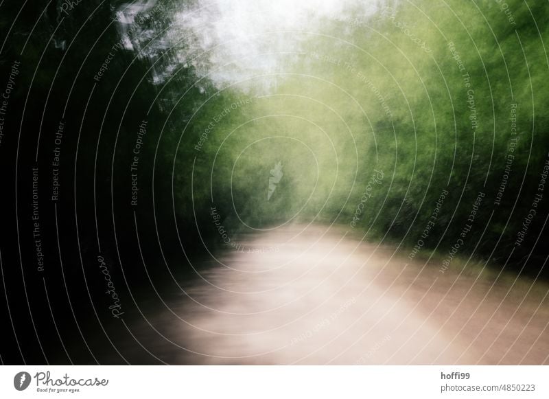 blurred path through the forest Forest off Uncertain future vibrating Mysterious depression Fear anxiety Ambiguous Loneliness Depression Depression Anxiety