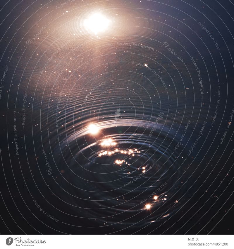 Rings in water in evening light Water Reflection in the water Deserted Exterior shot Nature Surface of water Lake Colour photo Sunlight Waves circles