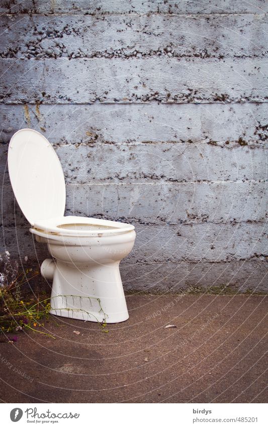 Removed toilet with opened lid in front of a wall LAVATORY Toilet Wall (barrier) Wall (building) Bowel movement Exceptional toilet seat Funny Bulk rubbish