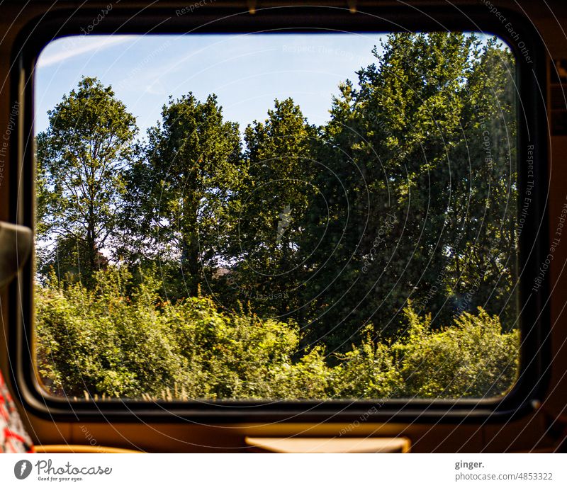 Train ride - view from the window Window Track Railroad Transport Movement border travel voyage Line Trip outlook Looking Station shrubby Forest trees Sky