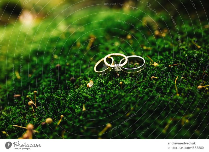 Wedding rings on green moss in forest. nature gold details wedding background marriage love two jewelry design symbol rustic couple romantic romance nobody