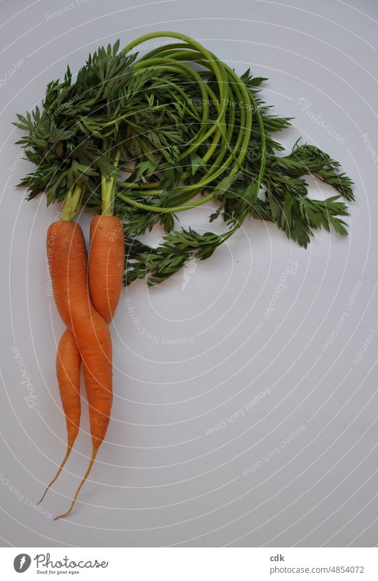 Carrots with green | for photocase lovers. carrots Bunch carrots green herb organic Biological Ecological Food food products Vegetable Good salubriously