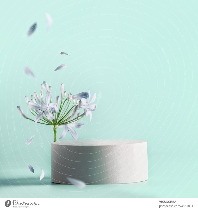 Beautiful minimal  modern product display with podium with flower bloom with flying petals at pale blue background. beautiful place beauty products marketing
