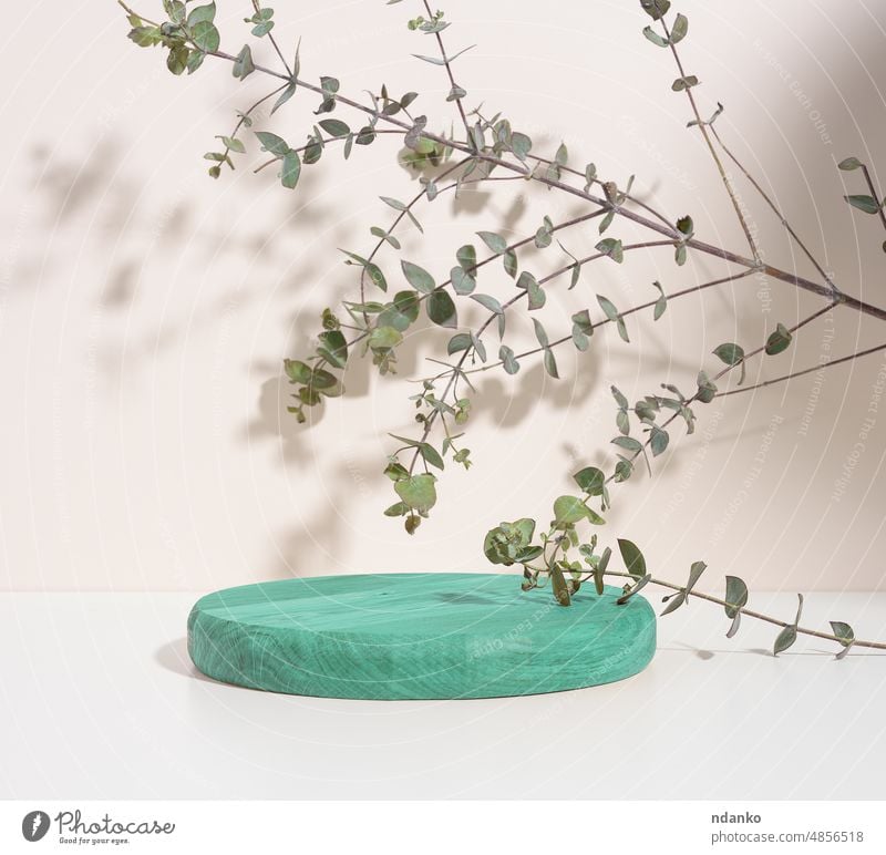 Round green wooden platform and eucalyptus branch on a beige background. advertising backdrop beauty blank cosmetic cosmetology design display eco empty leaf