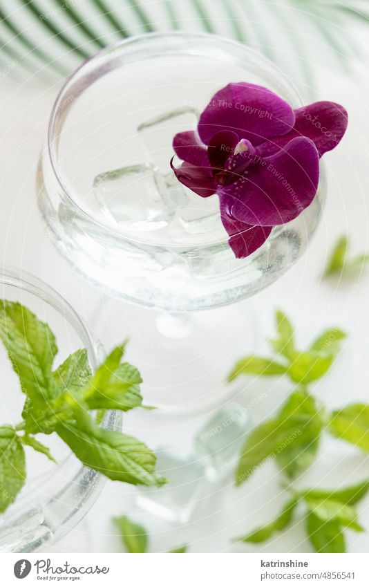 Transparent cocktail in a glass decorated with purple orchid flowers and mint leaves close up ice champagne coupe Tropical drink bar Summer Nobody Refreshing