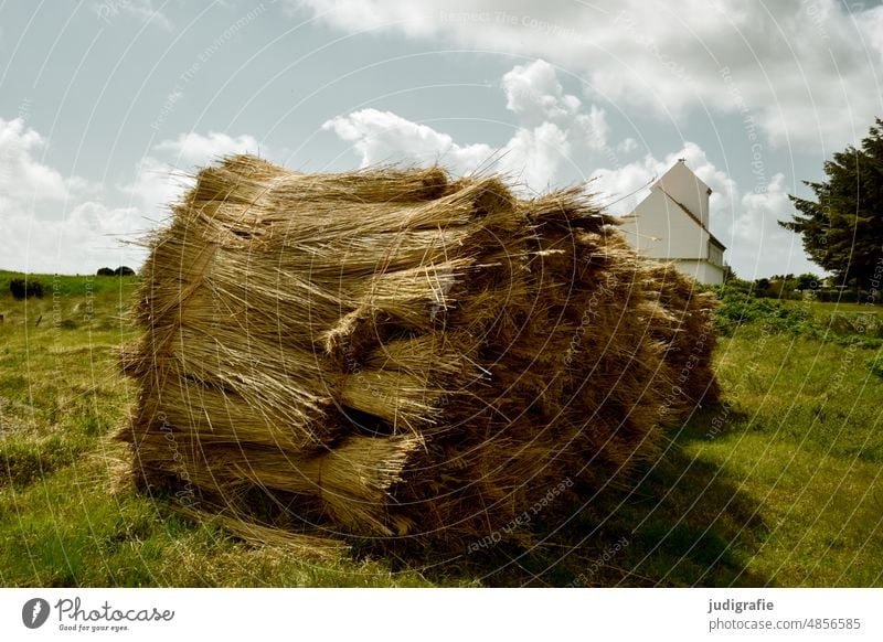 Thatch bale in front of Danish church reed Reed Grass Reed harvest Reed bale Landscape Sky Church Denmark Jutland Clouds Vacation & Travel Light warm Bundle
