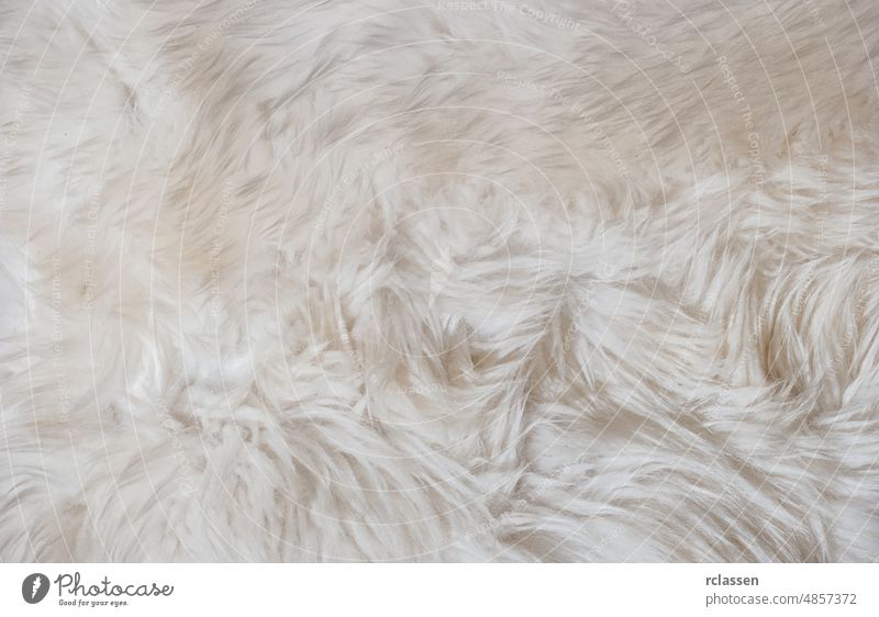 Texture of white shaggy fur texture animal sheep coat skin background beige carpet fashion fiber fiber elegance fluffy hairy lambskin leather macro material