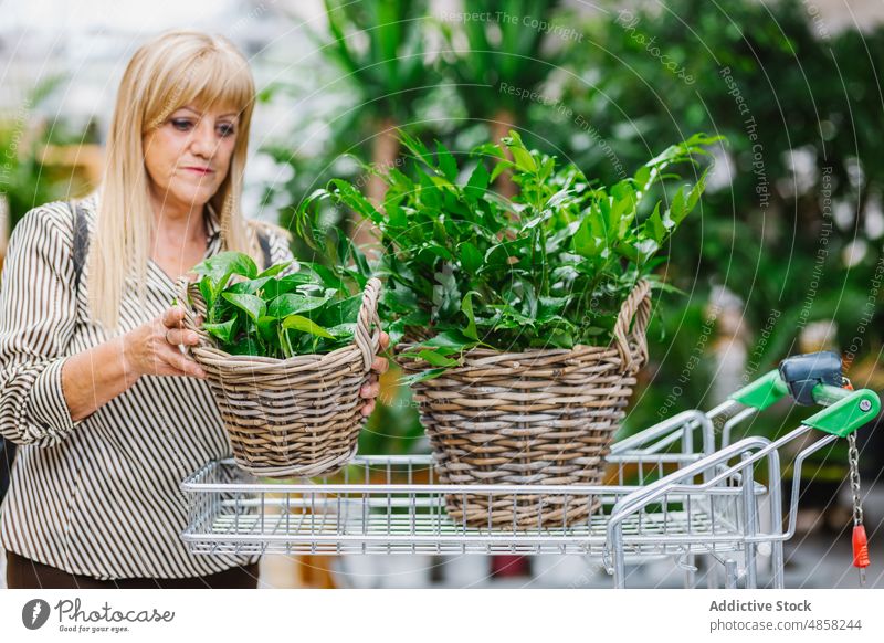 Senior woman putting baskets with potted plants in trolley cart shop buy customer greenery lush purchase female choose retail fresh consumerism store shopper