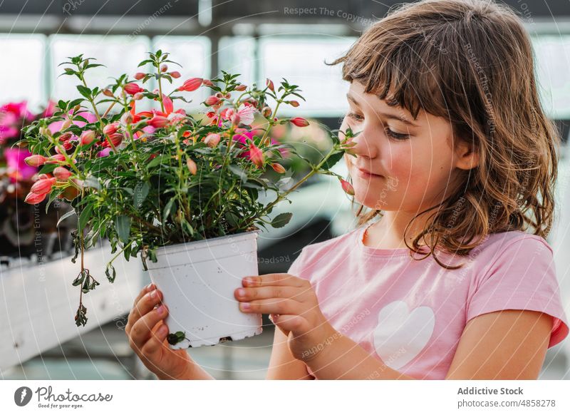Happy little girl with potted flower smile shop happy visit buyer plant portrait child casual dark hair bloom adorable natural fresh kid blossom flora childhood