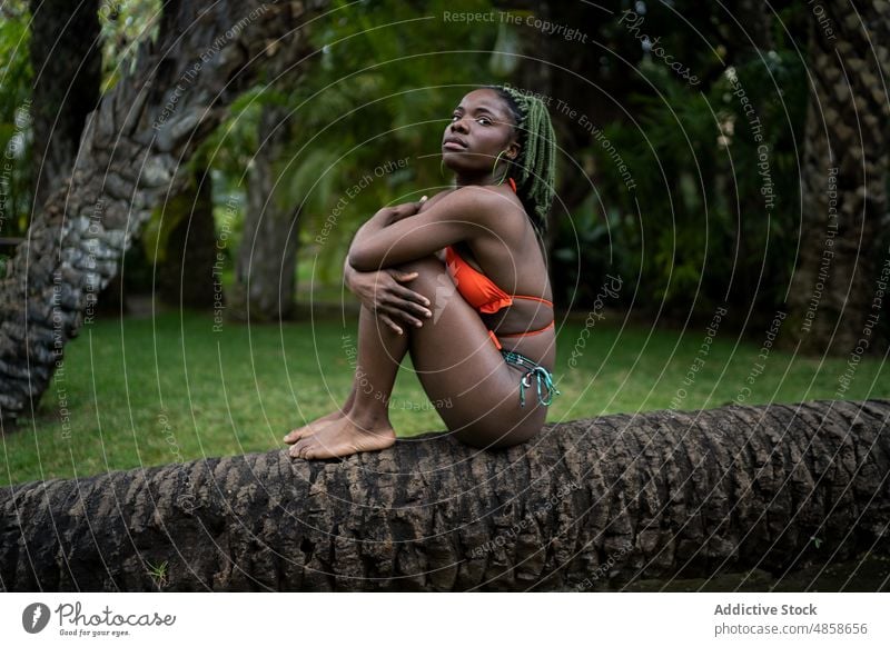 Black woman in bikini sitting on tree trunk swimsuit nature tropical leisure pastime rest female recreation resort exotic swimwear black african american slim