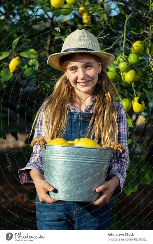 Girl with bucket of lemons in orchard girl gardener smile tree countryside harvest portrait summer kid friendly ripe fruit agriculture farmer carry cheerful