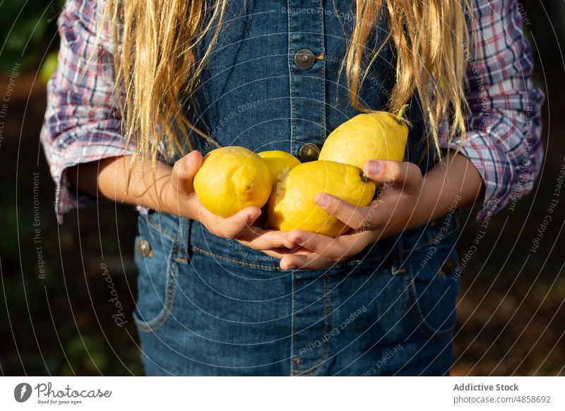 Cheerful little farmer with lemons girl orchard tree countryside harvest summer kid ripe fruit agriculture cheerful rural rustic checkered shirt denim dress hat