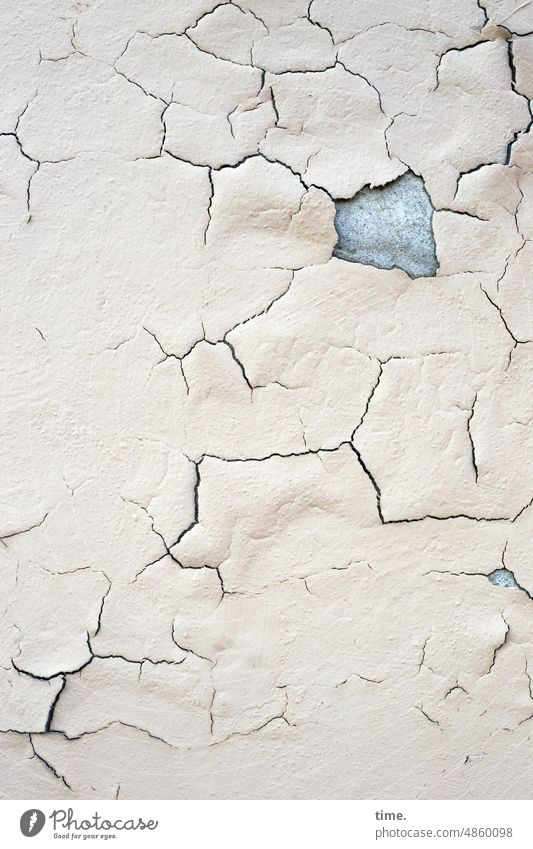Lifelines | Cracks Fractures Joints Gaps Wall (building) House (Residential Structure) cracks Fractions interstices gaps Varnish Colour Plaster Stone texture