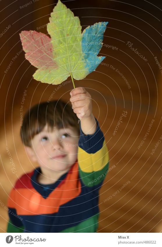 Autumn Hurrah!!! Leisure and hobbies Playing Handicraft Human being Child Toddler Boy (child) Infancy 1 1 - 3 years 3 - 8 years Multicoloured Emotions Moody Joy