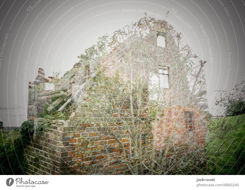 a haunted house and the magic of decay House (Residential Structure) lost places Ruin grey sky Ravages of time Transience Double exposure Change Deciduous tree
