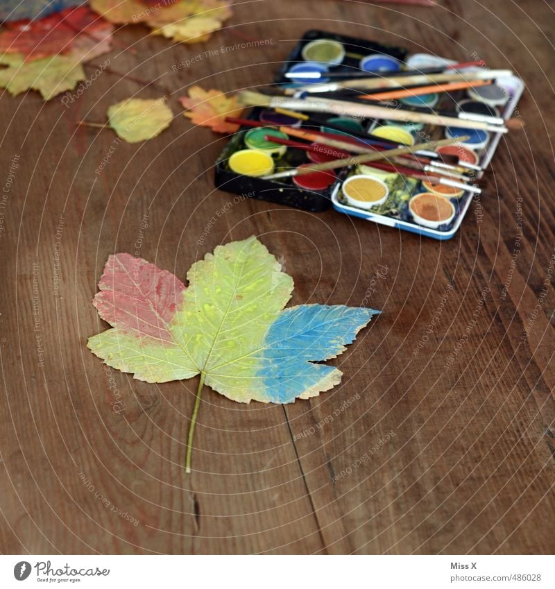 autumn colouring Leisure and hobbies Playing Handicraft Children's game Art Painter Autumn Leaf Multicoloured Colour Creativity Paintbox Maple leaf