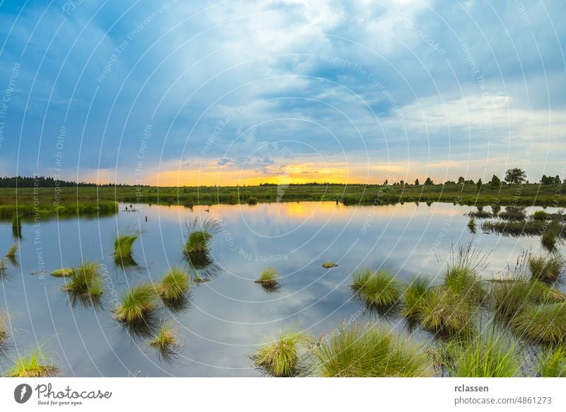 Bog lake with sunset in Belgium Veen landscape belgium nature clouds sky away benelux blue blue hour bog conservation area covered eifel europe expanse