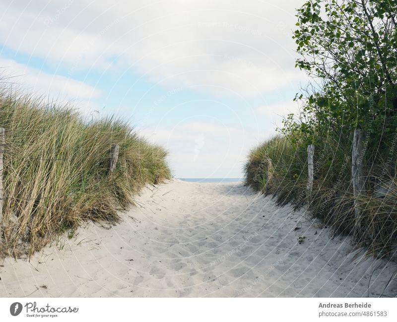 Beautiful pathway to the beach on a slightly cloudy spring day Germany background baltic beachgrass beautiful blue breeze coast desert dry dune dunes europe