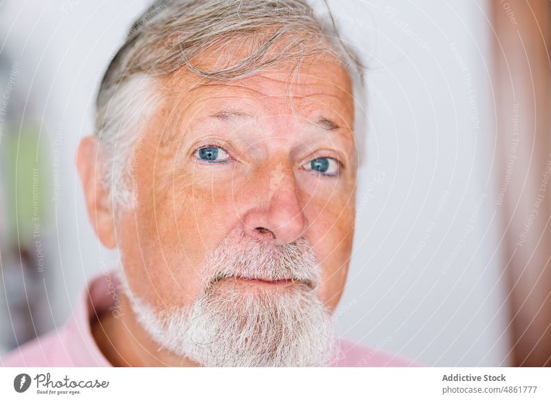 Senior man with gray hair senior pensioner appearance beard elderly room aged gaze calm home wrinkle style sincere stare light male mustache glance unshaven