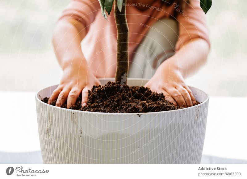 Girl pouring soil into flowerpot girl kid transplant gardener cultivate care grow potted replant room flora botanic floral vegetate natural child flat housework