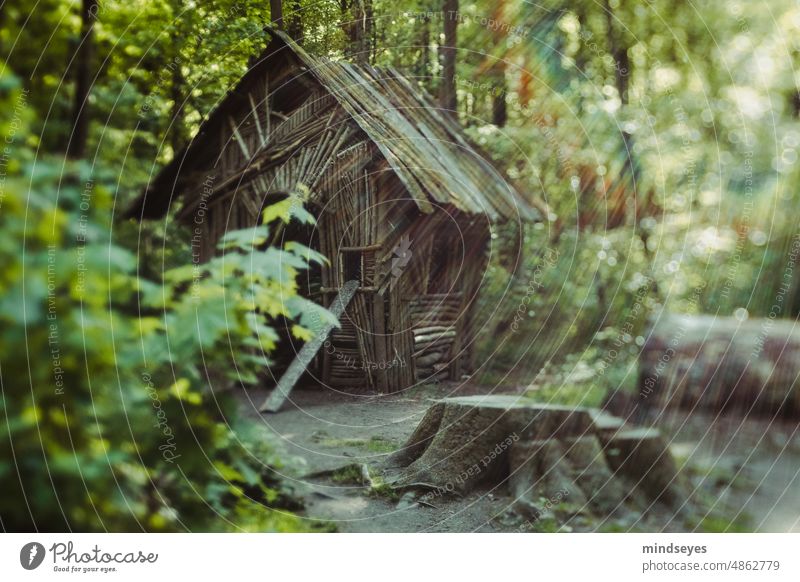 Hidden witch house Darmstadt Forest Art Trail Hut House (Residential Structure) covert magical Fairy tale sunbeams Nature Landscape sorcery Fantasy naturally