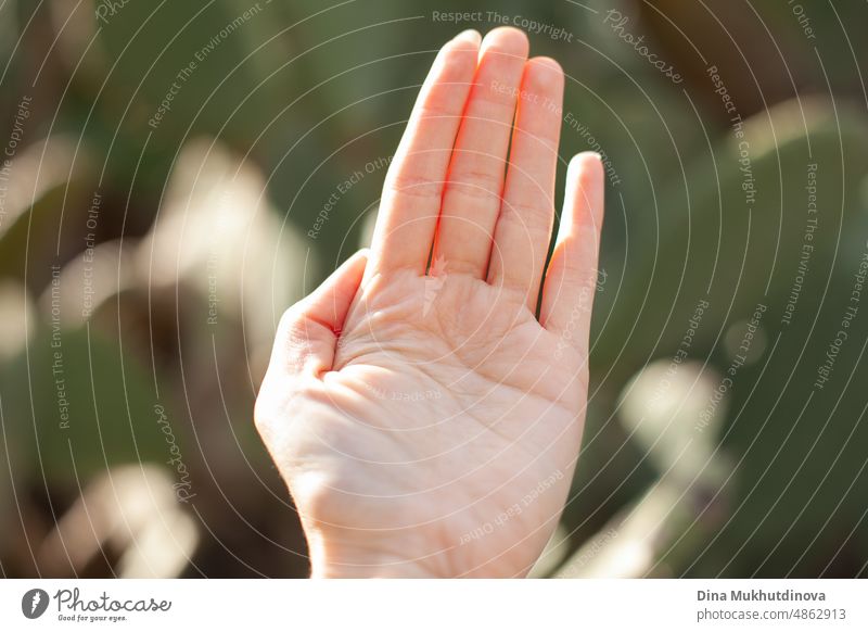 Open hand closeup with green blurred background and soft natural light. Gesture. Open arms. Kindness. Lines on palm. Human hands. vector fresh icon tree health