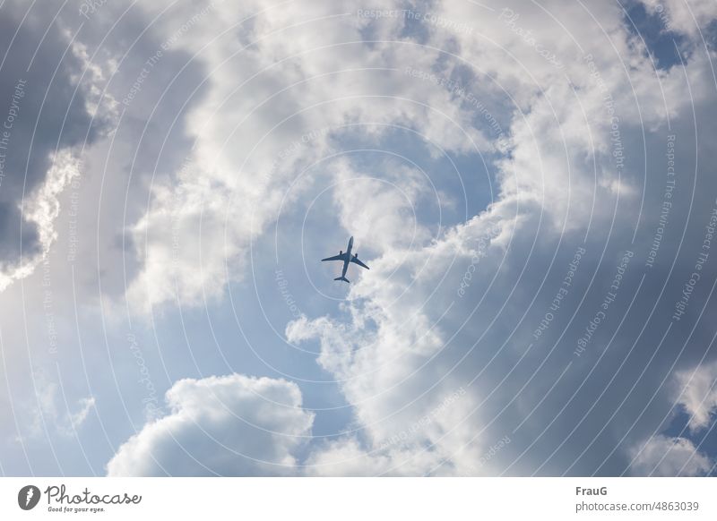 senk ju for treweling | airplane in the cloudy sky Sky Clouds Airplane Aviation Flying Passenger plane Tourism Day Wanderlust Freedom travel holidays vacation