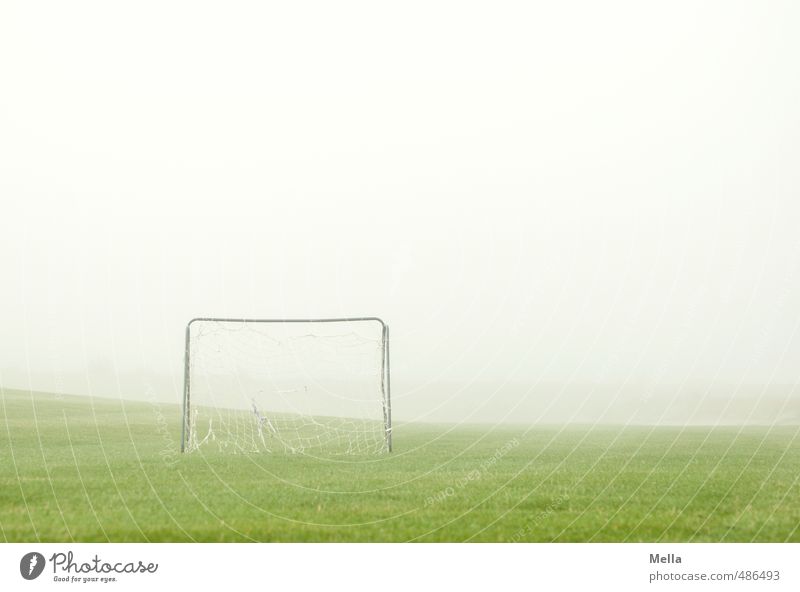 kicked off Sports Ball sports Goal Sporting Complex Football pitch Environment Fog Grass Meadow Simple Bright Leisure and hobbies Deserted Empty Soccer Goal