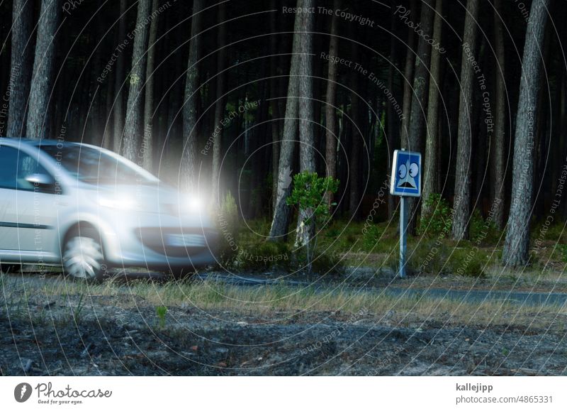 waldschreck Forest eyes Signs and labeling Warn Warning label Signage Warning sign Clue Safety Characters car swift Movement motion blur Caution Deserted esteem
