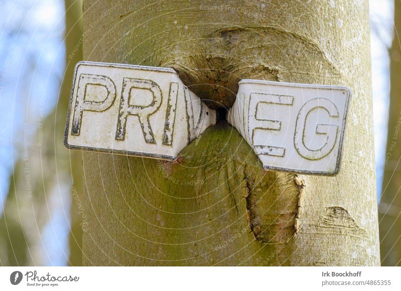 ingrown private road sign into a tree Nature wax Transience Green Exterior shot German Boundary Signs and labeling Strange Uniqueness Private way quaint