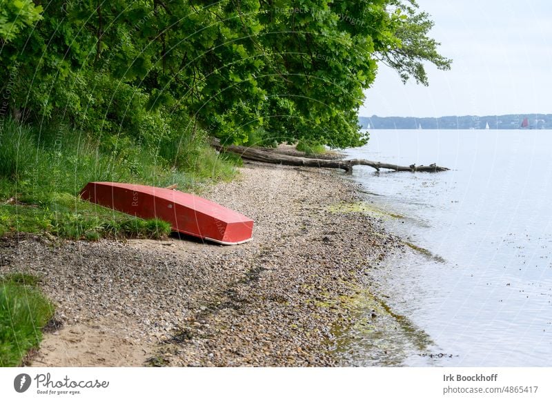 Red rowing boat on lonely natural beach Relaxation tranquil setting not observable covert on the dry local recreation area Hidden Tree Environment branches