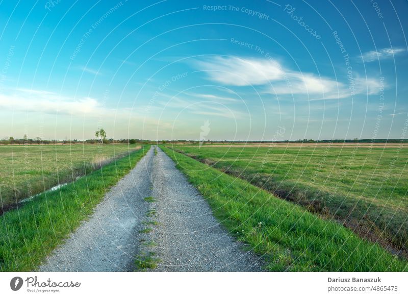 An empty and straight gravel road through green meadows nature sky landscape horizon path way dirt grass travel blue summer rural cloud country countryside