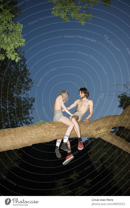 A young and barely dressed couple is feeling adventurous up in a tree. Summer nights are meant for love and flirting. Wild nature with wild youth combined.