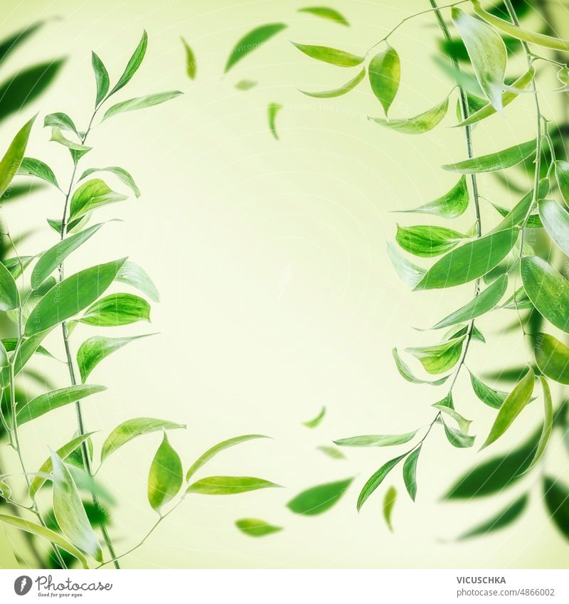 Nature background frame with bamboo branches and green leaves at background nature background backdrop copy space front view effect flora floral garden leaf