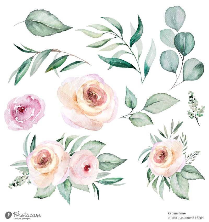 Watercolor light pink flowers and leaves bouquet and single elements, illustration set Botanical Decoration Drawing Element Garden Hand drawn Isolated Ornament