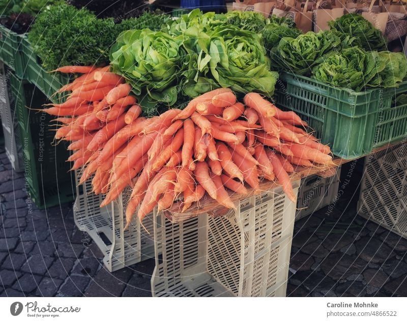 Fresh carrots and salad at the market stall Lettuce Markets vitamins Vegetable Food Healthy Nutrition Vegetarian diet Organic produce Colour photo Delicious