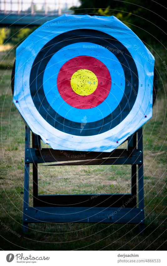 The slogan of the archers is always : All in the gold ( center ) Archery target Sports Colour photo Sports Training Athletic Playing workout Exterior shot