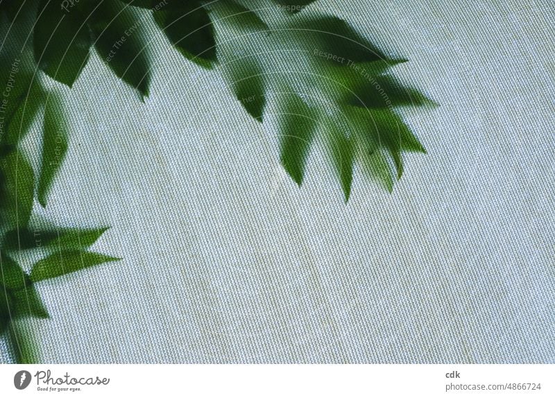 give a green frame | leaves on fabric | green foliage II Plant Cloth Imprint contact Contact Green structure material structure Sun sail Cherry tree Bright Dark