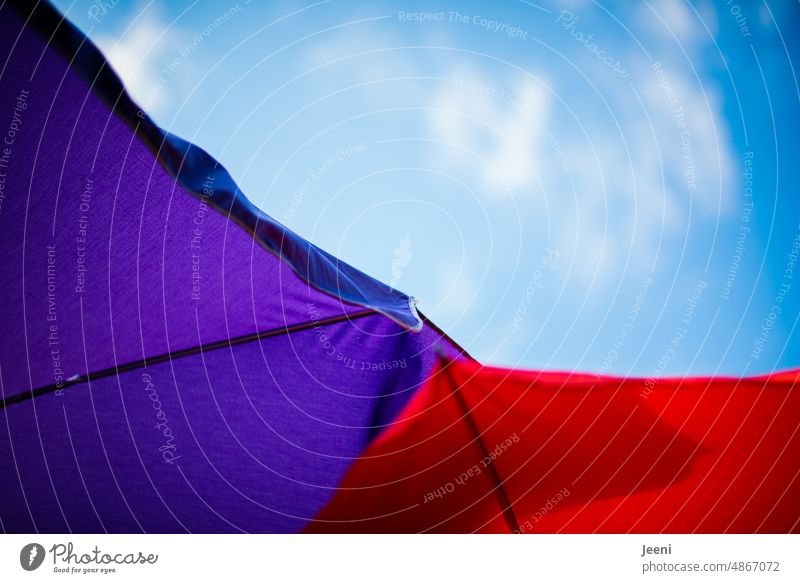 Parasol ⛱ and sunshine ☀️ Sunshade parasols two Red purple Violet Sky Blue Blue sky Upward Summer Sunlight sun protection Umbrellas Worm's-eye view colourful