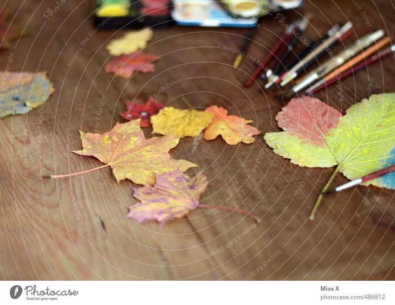 autumn colouring Leisure and hobbies Playing Handicraft Children's game Work of art Autumn Leaf Multicoloured Colour Joy Painting (action, artwork) Maple leaf