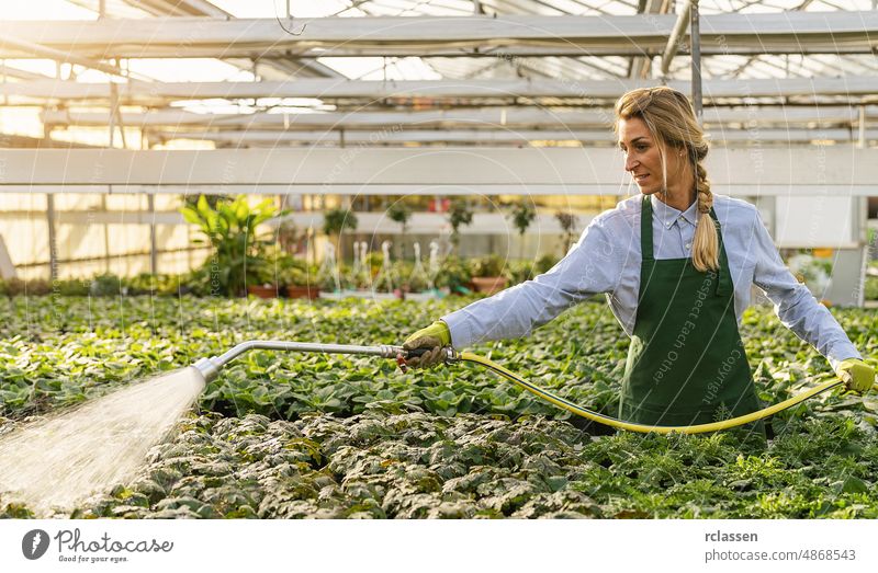 Young gardener watering plants with a shower head and hose in a nursery agriculture apprentice apprenticeship blue collar worker care employee florist floristry
