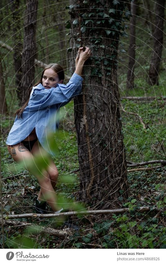 A gorgeous brunette girl dressed in a blue shirt and sexy lingerie is feeling adventurous behind a tree. These wild woods are roamed with wild girls. Nature is at its best in all ways.