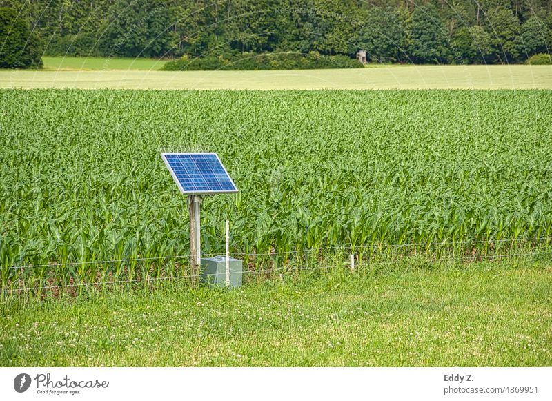 Electric fence that is solar powered. The pasture fence protects corn field from wild animals like wild boars that eat the corn. Electrified fence Protection