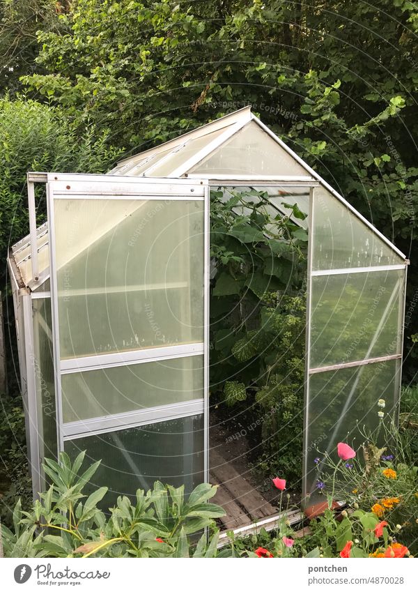 A greenhouse full of plants in the green Greenhouse grow gärnter Gardening extension Vegetable self-sufficient self-catering flowers