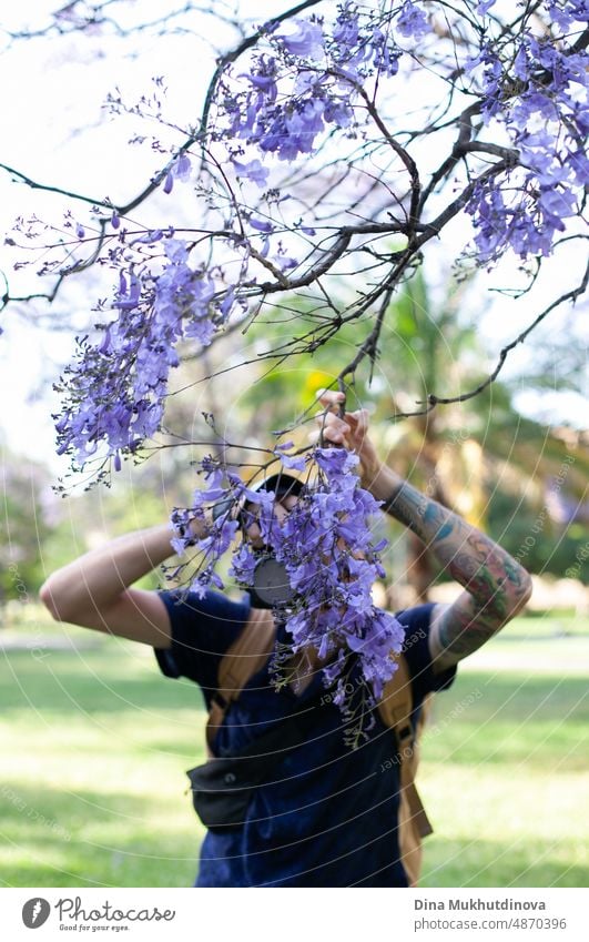 Photographer hiding behind jacaranda tree in bloom, taking pictures. Photographer taking pictures of spring. Purple flowers on the tree. millennial beautiful